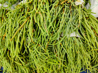 Glasswort salad or samphire salad on market stall in Turkey