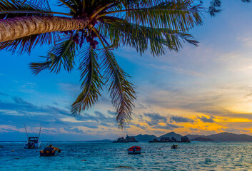 Palm tree by the sea in Anse Reunion beach at sunset