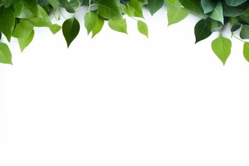 green leaves frame on white background, Generative AI