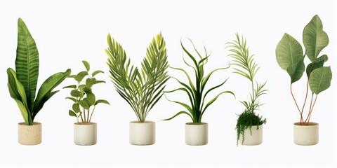 set of plants on white background, Generative AI