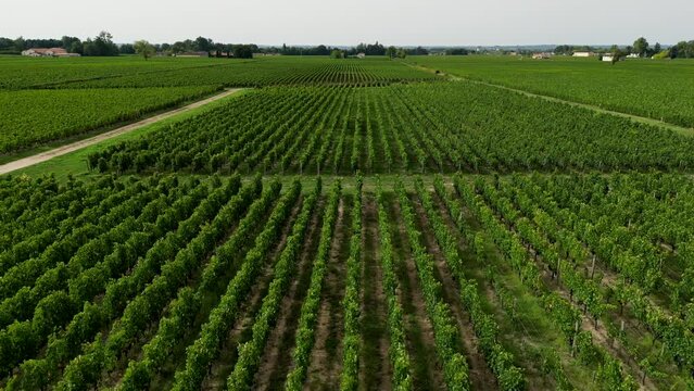 Aerial view of Pomerol wine making commune in Nouvelle Aquitaine France with vineyard fields, High quality 4k footage