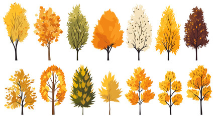 autumn trees, set of vector illustrations of cute trees and shrubs: oak, birch, aspen, linden, fir, sun and dog, different shapes of trees in autumn colors. Isolated on white background - obrazy, fototapety, plakaty