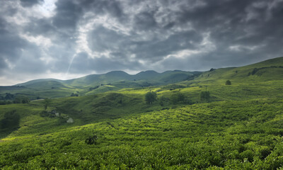 Nature's Canvas: A Panoramic Journey Through the Alps