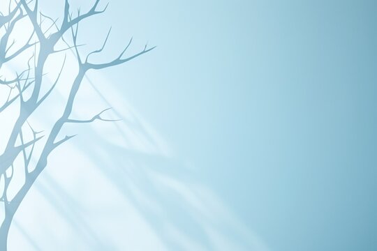 Minimalistic Abstract Light Blue Background with Subtle Tree Branch Shadows: Perfect for Product Presentation