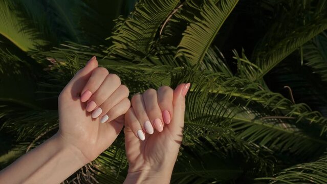 Female hands with beautiful natural pink elegant manicure. Green palm.