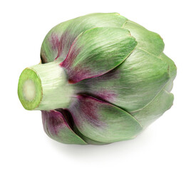 Artichoke flower bud isolated on white background. Green fresh artichok close up.