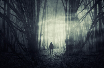 mysterious surreal woods landscape with man silhouette - 656605460