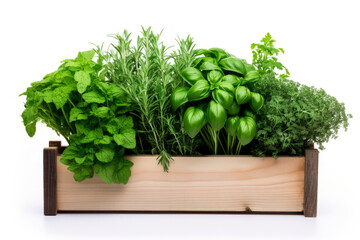 Fototapeta premium Generative AI illustration of assortment of fresh aromatic herbs