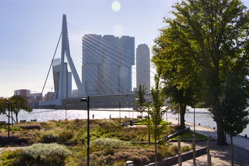 Wandaufkleber Rotterdam © Prieshof PixEL