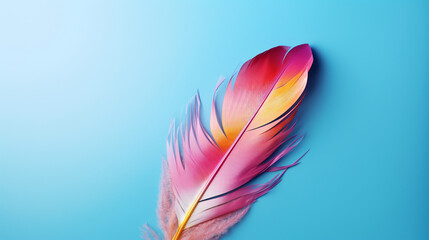 Colorful bird feather on blue background. Copy space for text.