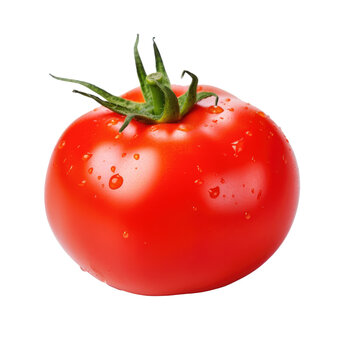 Juicy Red Tomato with Stem