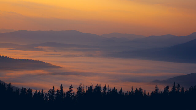 Sunrise above Dragobrat, with fog in the meadow in Carpathian mountains, Ukraine