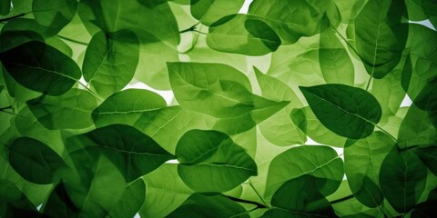 Green leaves background. Natural green leaves plants using as spring background cover page environment ecology or greenery wallpaper, Generative AI