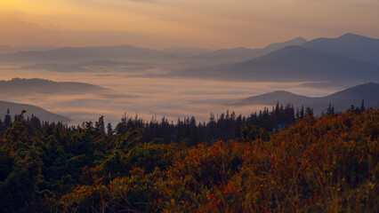 Sunrise above Dragobrat, with fog in the meadow in Carpathian mountains, Ukraine - obrazy, fototapety, plakaty