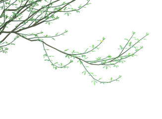 Various types of tree branch plants bushes shrub