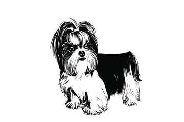 Biewer Terrier Elegance: A Graceful Vector Portrait of a Regal Canine