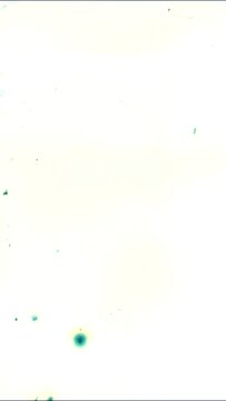 Vertical Video Expired Film with Chemical Splatter for Grunge Backgrounds and Overlays on Social Media Ads and Posts