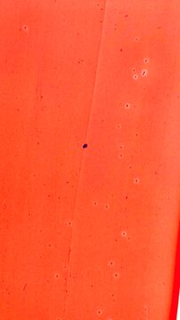 Vertical Video Authentic Red Painted 16mm Film for Overlays Backgrounds for Social Media Video Ads and Posts