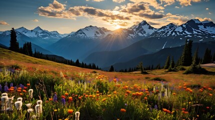 Panoramic view of alpine meadow with poppies at sunset - obrazy, fototapety, plakaty