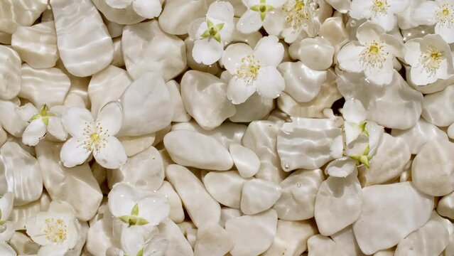 Flowers Jasmine on water surface with drops. Pure water with reflections sunlight and shadows. Slow motion of waves water. Packaging for design, advertising, products. High quality 4k footage