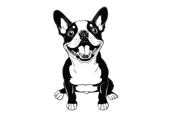 Boston Terrier Elegance: A Detailed Vector Study of a Beautiful Dog