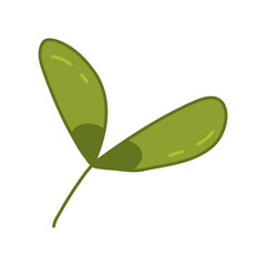 Maple seeds or helicopter, autumn design element, doodle style vector