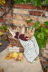 Maiskolben im Korb, Herbst Dekoration, 
