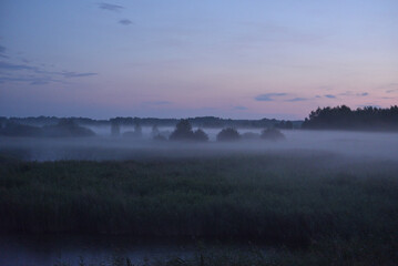 Foggy landscape late at night in a summer field. The forest is in a haze after the rain. Night forest and field.