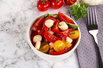 Italian Caprese salad with tomato and mozzarella