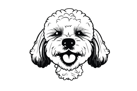Cavapoo Charm: A Vector Illustration of an Adorable Cavapoo Dog