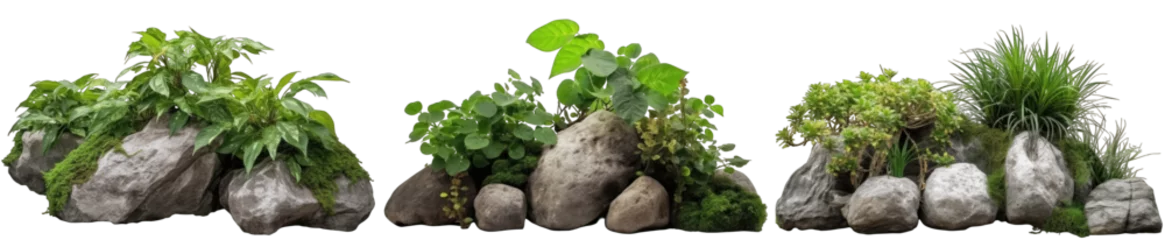 Fototapete Large rocks and stones with plants and foliage around, green nature, isolated on transparent background generative ai © Hixel