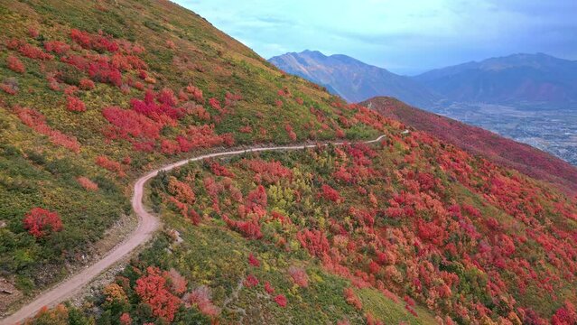 Road winding along the mountainside cutting through the Fall colors in Utah.