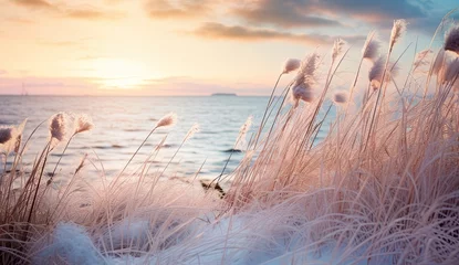 Foto auf Acrylglas Antireflex Grasses in snowy dunes in the front of the serene and tranquil winter scene. Sea and sunset, sunrise in the background. Golden soft light for romantic, loving emotions.  © Caphira Lescante