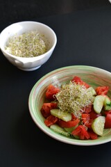 A bowl of alfalfa sprouts and a bowl of vegetable salad on a gray background. Healthy nutrition. 