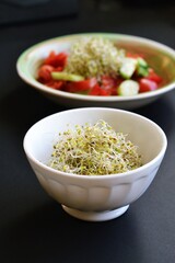 A bowl of alfalfa sprouts and a bowl of vegetable salad on a gray background. Healthy nutrition. 