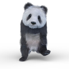 Obraz premium ジャイアントパンダ