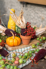 Stilleben mit Kürbiss, roten Beeren und Maiskolben, rustikale, natürliche Dekoration im Herbst,...