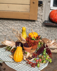 Stilleben mit Kürbiss, roten Beeren und Maiskolben, rustikale, natürliche Dekoration im Herbst,...