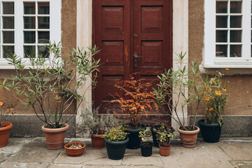 Fototapeta na wymiar Many plant pots next to wall. Cozy house entrance wooden door and flower pots