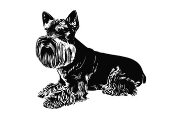 Cesky Terrier Delight: A Vector Study of a Playful Cesky Terrier