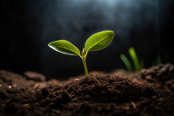 The seedling are growing in the soil with sunrise. Generative AI