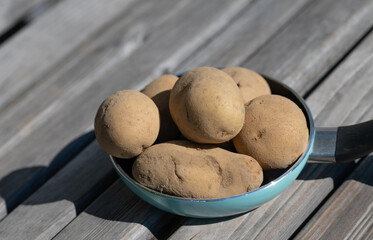 There are several raw potatoes with their skins in a small turquoise aluminum pan. The pan stands on a surface made of wooden slats.