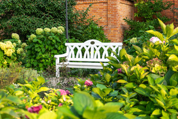 A bench surrounded by flowers. Relaxation in the garden.