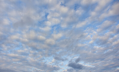 Fototapeta premium Fall Blue Cloudy Sky