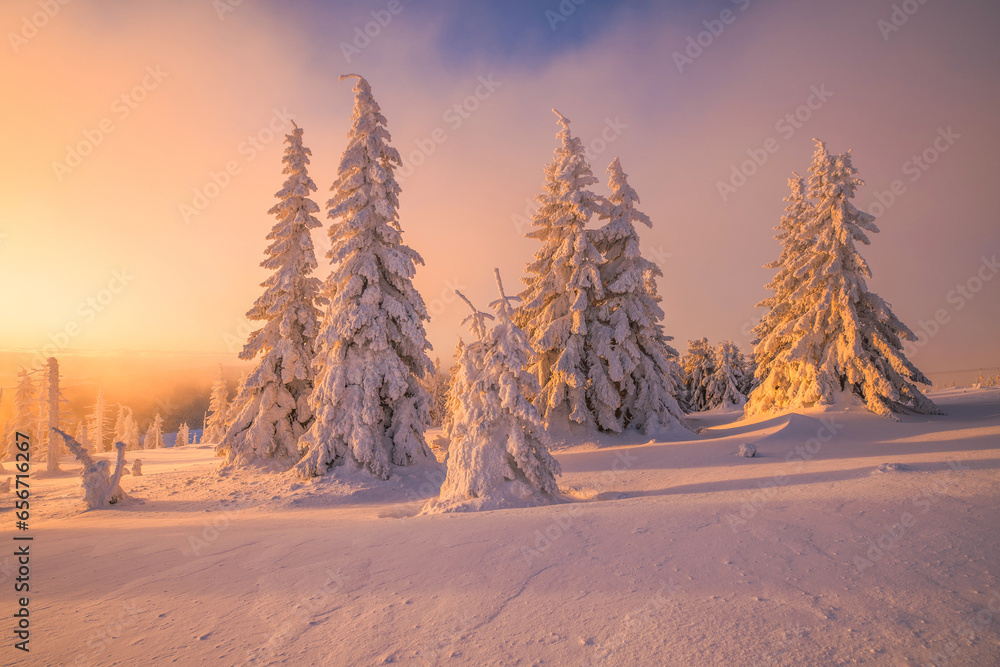 Wall mural frosty sunrise in the mountains - Wall murals