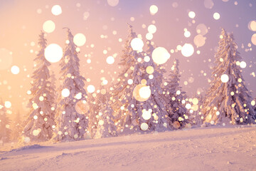 Snowy christmas forest
