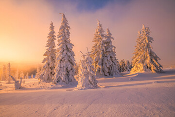 Frosty sunrise in the mountains - 656716267
