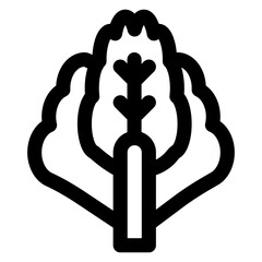 Lettuce Icon