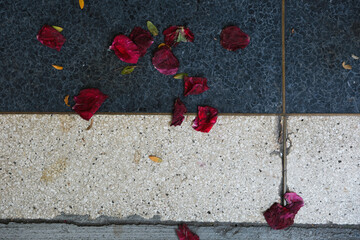 red rose petals on a terrazzo store entrance