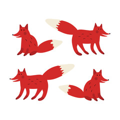 Red foxes isolated on white background, vector illustration with cute animal characters.